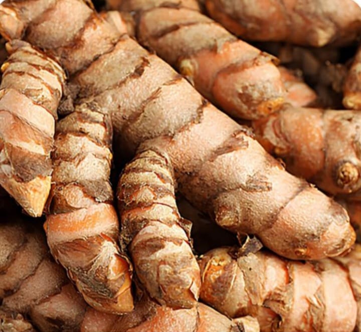 Cinnamon for Export  Premium ,Cloves for Export  Premium,Arabica coffee bean grade 1,Robusta coffee beans grade 1,Black Pepper for Export  Premium lampung, Turmeric for Export  Premium ,Fresh Ginger from Indonesia,  Fresh Yacon Root for Export  Premium, F